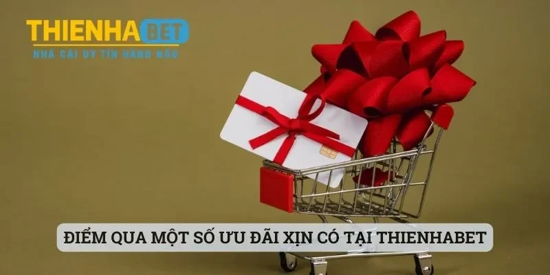 Thienhabet - Nhà Cái Hot Hit Số 1 Thị Trường Cược Hiện Nay 4 Điểm qua một số ưu đãi xịn có tại Thienhabet